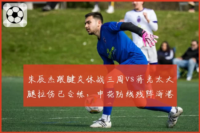 朱辰杰跟腱炎休战三周vs蒋光太大腿拉伤已合练,申花防线残阵海港迎来利好