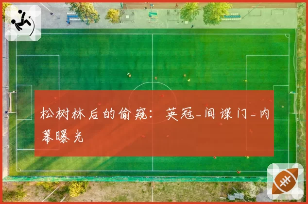 松树林后的偷窥：英冠_间谍门_内幕曝光
