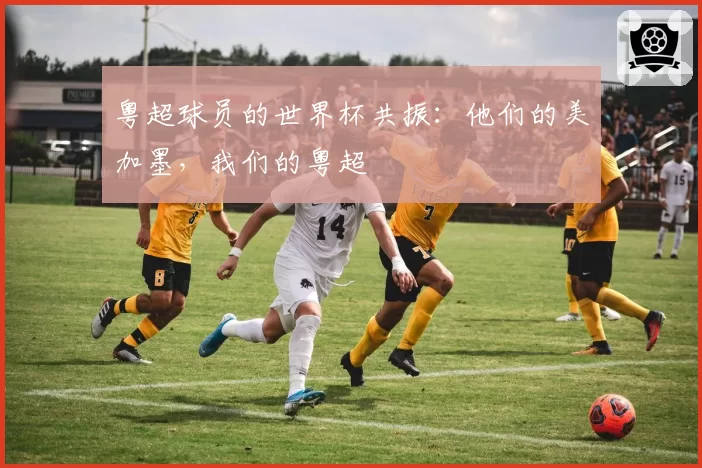 粤超球员的世界杯共振：他们的美加墨，我们的粤超