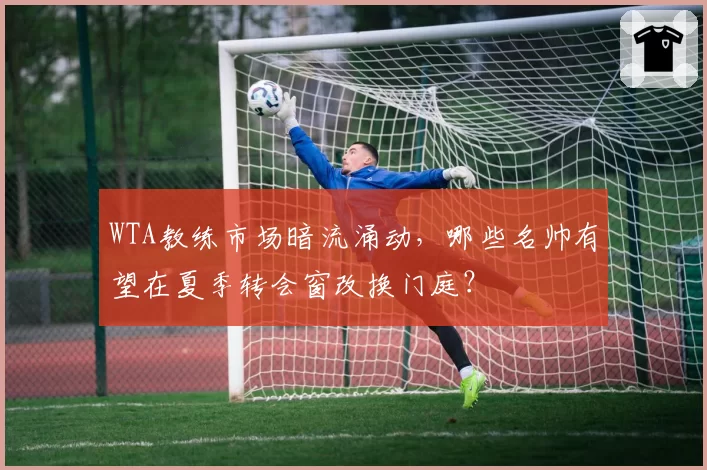 WTA教练市场暗流涌动，哪些名帅有望在夏季转会窗改换门庭？