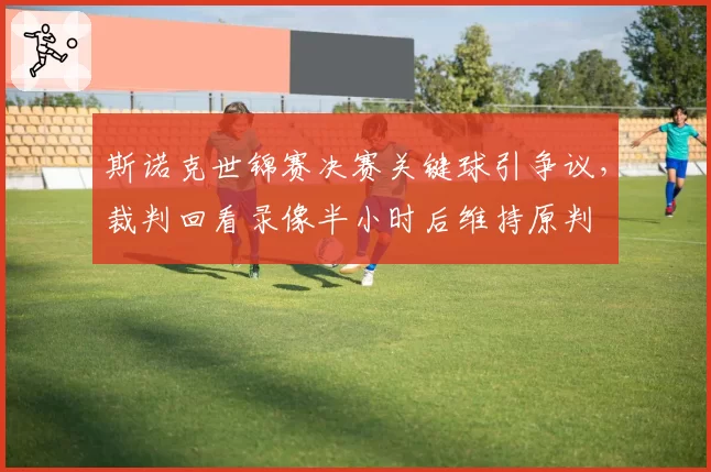 斯诺克世锦赛决赛关键球引争议，裁判回看录像半小时后维持原判